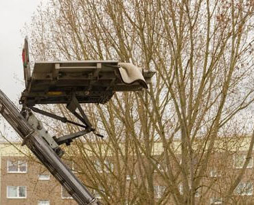 Möbellift in Magdeburg: Möbellift zwischen kahlen Bäumen vor einem Gebäude