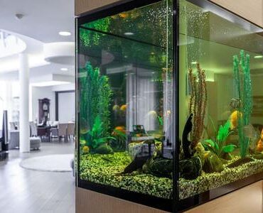 Aquarium-Umzug Magdeburg: Großes Aquarium in einem modernen Wohnzimmer