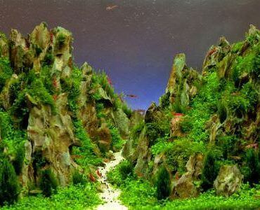 Aquarium-Umzug Magdeburg: Aquarium mit Felslandschaft und Pflanzen